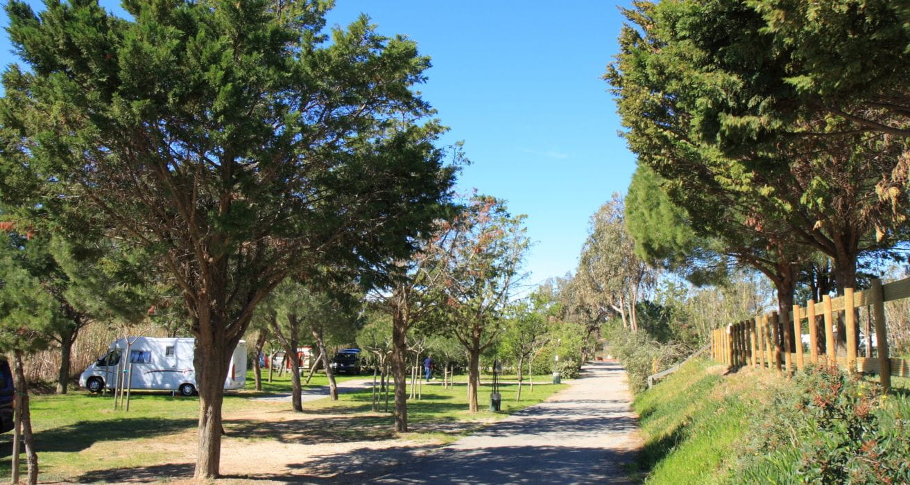 Des emplacements de camping   Vacances Giens